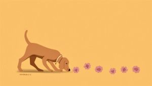 Sniffing dogs join the race to catch cancer early in India