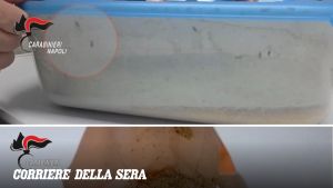 Caivano, nelle mense delle comunità per minori insetti nel cibo e alimenti mal conservati