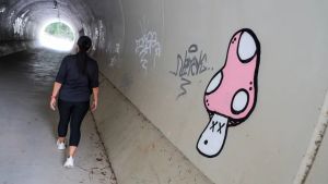 Gorizia, vandali in azione alla Valletta del Corno: «Il parco va chiuso nelle ore notturne»