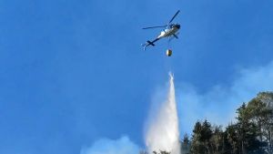 Incendio boschivo a Ru de Pignacia, chiusa l’Agordina
