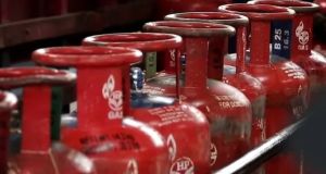 Govt approves six free LPG cylinders annually for AAY families