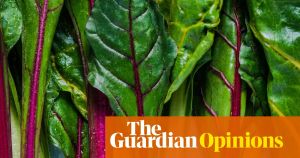 I’m an avid fan of chard – but you can have too much of a good thing