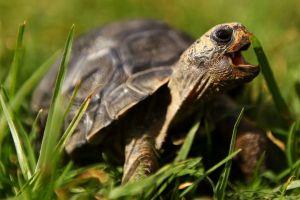 The Capitalist: Slow and steady wins the race at the Bloomberg Square Mile relay