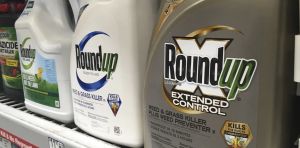 What the U.S. Supreme Court’s pesticide ruling means for gardeners and farm workers