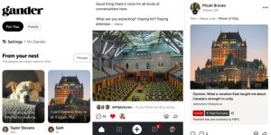 Gander Social pitches sovereignty in social spaces with Canadian-made app