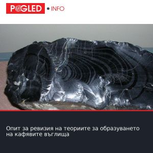 Опит за ревизия на теориите за образуването на кафявите въглища