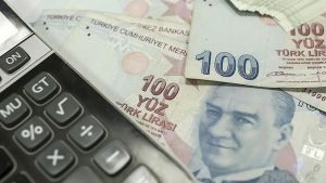Fon krizinin sosyoekonomik yüzü