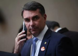 O eleitor adestrado