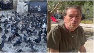 Emilio, l’uomo che dà da mangiare ai piccioni. Ma ora sono fuori controllo: “Ok, smetto”