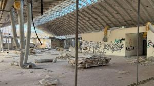 Fabbrica di molotov, i piani per l’area. Il Caprilino e l’idea del restyling: 