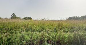 Developer wins appeal to build homes in village despite objections from locals