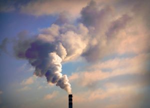 Elites Have No Plan for Climate Collapse