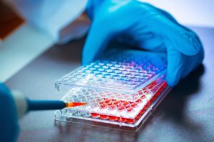 Biotech: on passe à la deuxième vitesse?