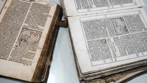 Mein Thema: Entfremdete Sprache
