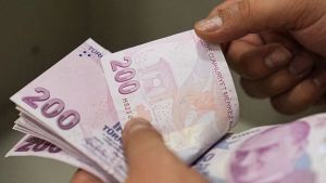 Fon + Ponzi = Fonzi : Değirmenin suyu nereden?