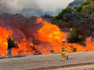 Albanese’s United Nations climate hypocrisy