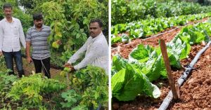 Over Half of India Faces Dry Conditions: This Beed Farmer Shares 4 Ways to Farm With Less Water