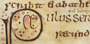 Ancient virus hunters: how we discovered sheeppox DNA hidden in medieval gospels