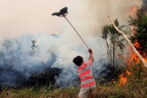 El Niño is nu officieel de heftigste ooit. ‘Dit zal een reeks weerrampen overal op aarde voortbrengen’