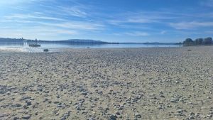 Schweizer Daten zeigen Niedrigwasser am Untersee noch deutlicher: Pegel so tief wie seit 135 Jahren nicht