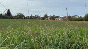 Ein Paradies für Senioren: In Böhringen wird ein neues Pflegeheim geplant