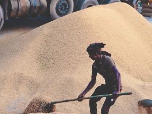 Smart rice policy would be nice