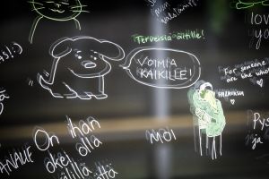 Lukijan mielipide: Mistä STEA-leikkauksissa oikeasti on kyse?