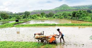 What a 15 per cent rainfall deficit foretells