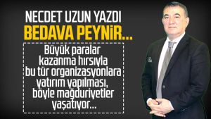 Necdet Uzun yazdı: Bedava peynir...