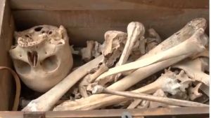 Skeleton-like structure found in Delhi scrap pile, police check school link