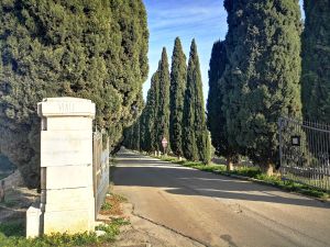 Assegnazione in concessione di loculi cimiteriali, da mercoledì 30 si convocano i richiedenti