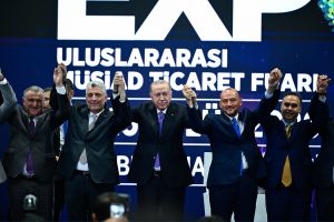 Yeni devletçilik ve ekonomik güvenlik devleti