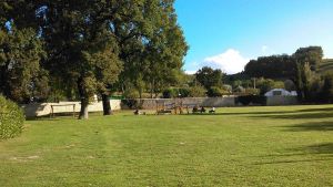 È la Festa della Pace. A salvare il mondo si comincia dal parco