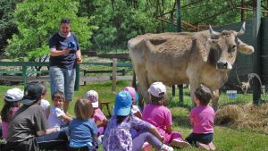 Visite agli animali, giochi e laboratori. Sei fattorie didattiche aprono le porte