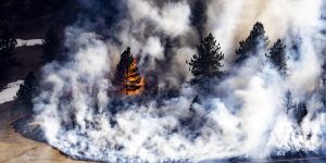 The Insurance Industry Is on the Wrong Side of the Legal Battle Against Fossil Fuels