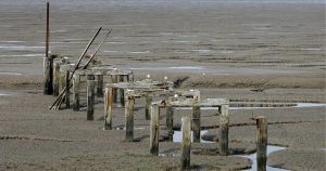 How research on Norfolk's coast could shape future flood defences around the world