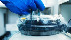 Women Can Freeze Their Eggs for Free Through This Startup. Here’s Why Critics Are Concerned