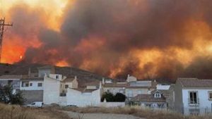 Wildfires And Collectivism: Why They Are Related – OpEd