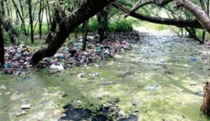 Don’t let Anchar lake disappear!