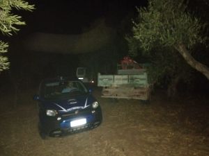 Scoperti nei pressi del cimitero due autocarri rubati