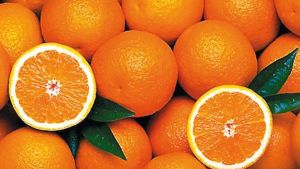 En busca de las naranjas de Pedro García Cabrera
