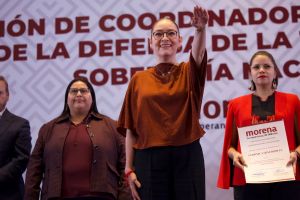 Encuestas de Morena: ¿Una caja negra?
