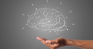 The Decomposition of Intelligence