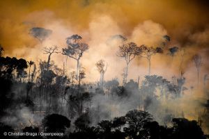 As the Amazon faces its greatest threat yet, Canada can reject free trade deal with Brazil
