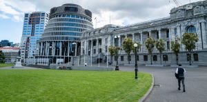 NZ’s next new MPs face a brutal learning curve. Does it have to be that way?