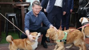 Deery: Carroll’s latest pledge is proof Victorian politics has gone to the dogs