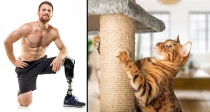 Genius amputee makes outlandish prosthetic legs, but his cat scratching post may be best of all