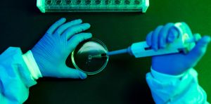 One in eight cancers are likely caused by an infection worldwide – new study