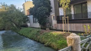 Abbattuto l’abete sul Cagnan, è polemica: «Basta tagliare alberi»