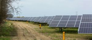 Benefits of Ireland’s solar boom should not go only to the big energy firms